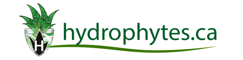 Hydrophytes.ca