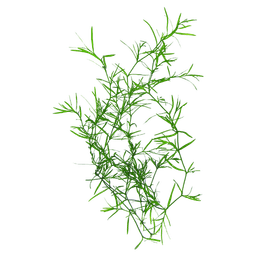 Guppy Grass