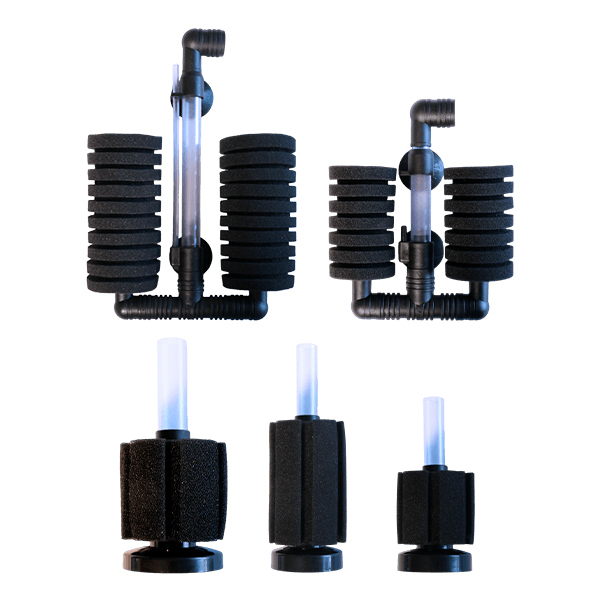 Sponge Filter