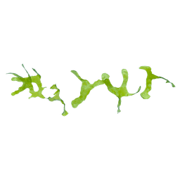 Susswassertang