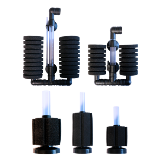 Sponge Filter