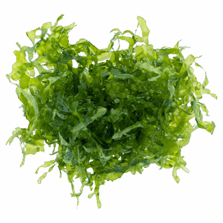 Susswassertang