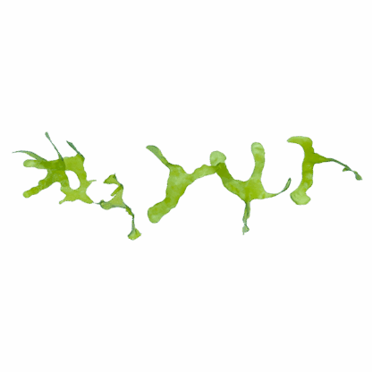 Susswassertang - Image 2