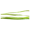 Vallisneria spiralis - Image 3